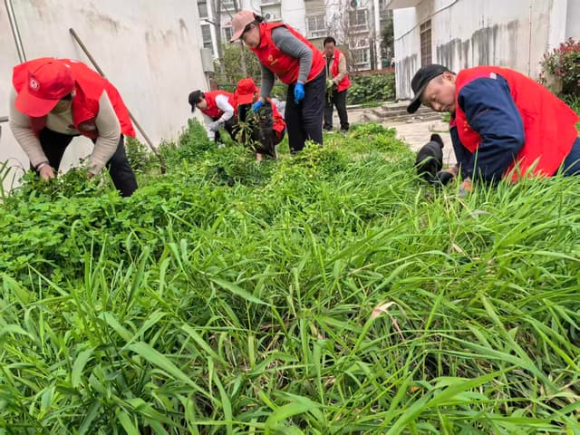 安徽省合肥市蜀山区小庙镇枣林村开展“全民动手搞卫生 洁净家园迎春光”环境整治主题活动